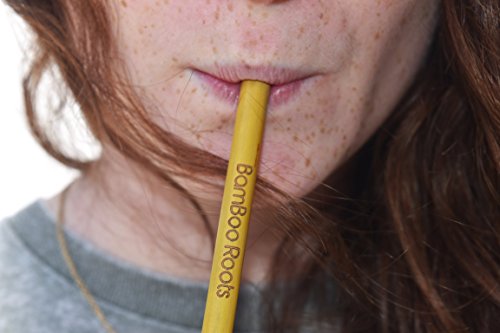 Reusable and Biodegradable Bamboo Drinking Straws - Pack of 12 - Kind4Earth