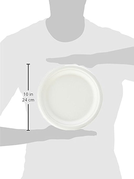 Sugar Cane Fiber Heavy Duty 10" Plate (500) - Kind4Earth