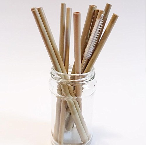 Reusable and Biodegradable Bamboo Drinking Straws - Pack of 12 - Kind4Earth