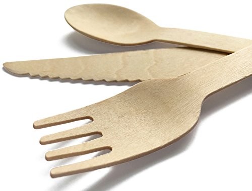 Wooden Disposable Cutlery Set (200, 250 or 300 Pack) - Kind4Earth