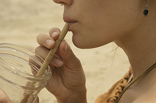 Reusable and Biodegradable Bamboo Drinking Straws - Pack of 12 - Kind4Earth