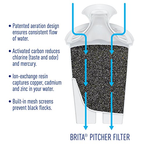 Large 10 Cup Water Pitcher with Filter - Kind4Earth