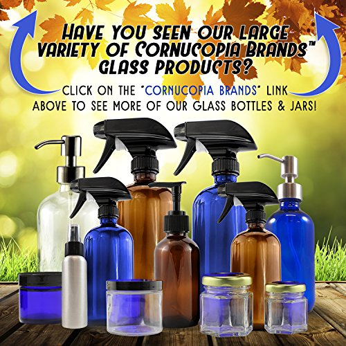 16-Ounce Clear Glass Bottle Dispensers w/ Stainless Steel Pumps (2 pack) - Kind4Earth
