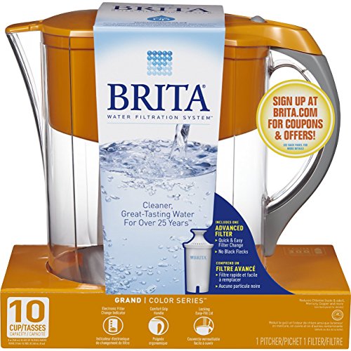 Large 10 Cup Water Pitcher with Filter - Kind4Earth